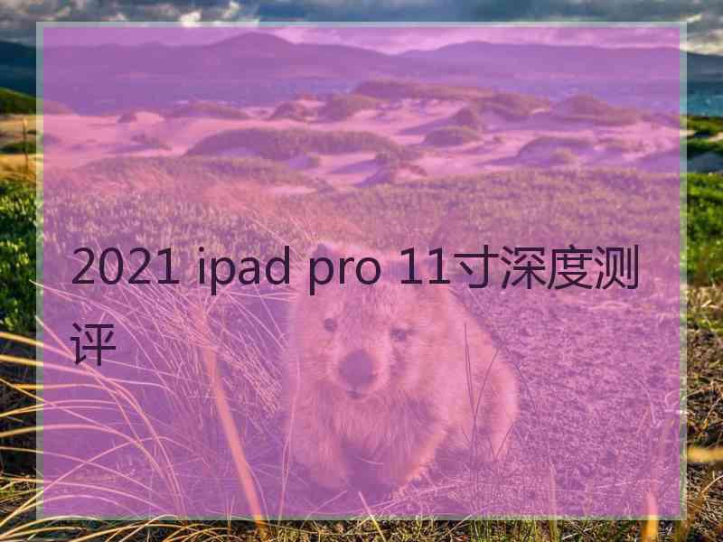 2021 ipad pro 11寸深度测评