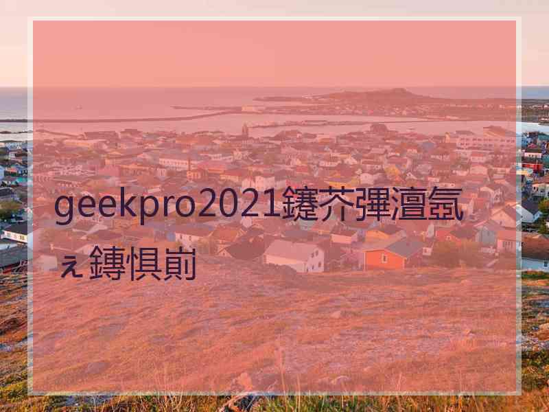 geekpro2021鑳芥彃澶氬ぇ鏄惧崱