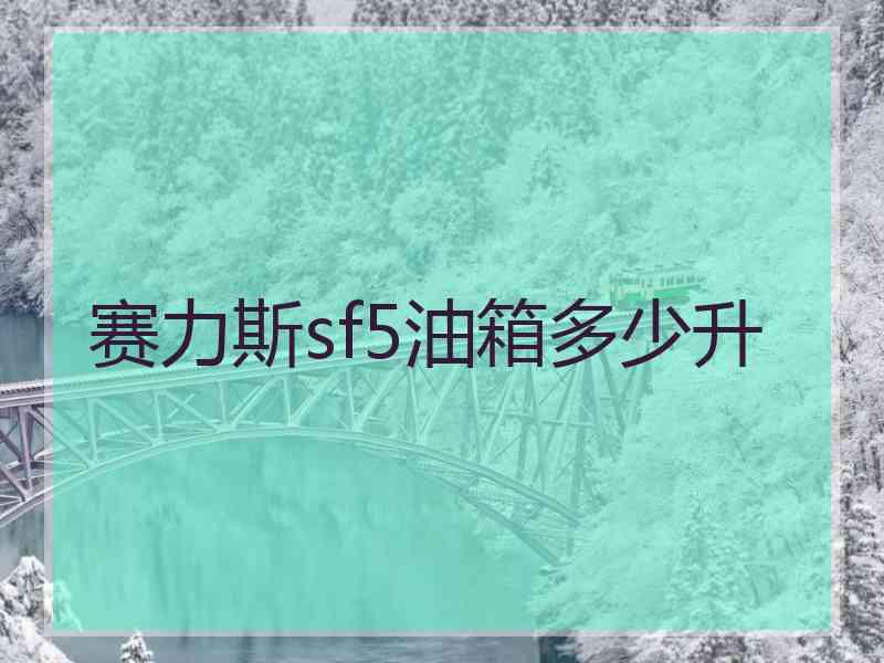 赛力斯sf5油箱多少升