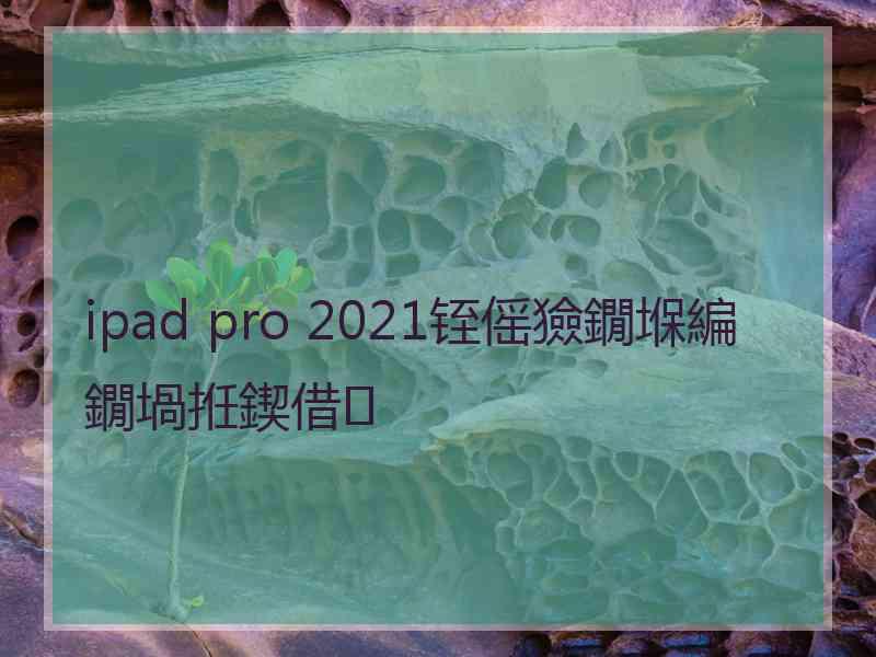 ipad pro 2021铚傜獫鐗堢編鐗堝拰鍥借