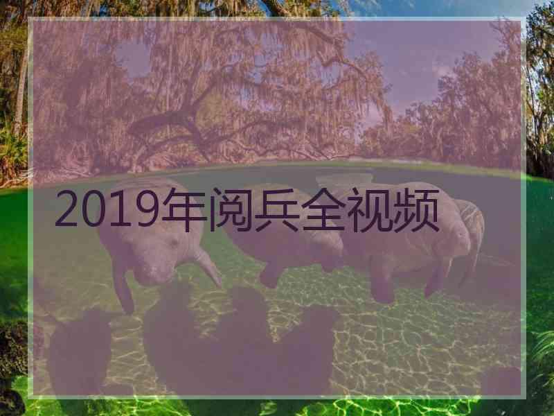 2019年阅兵全视频