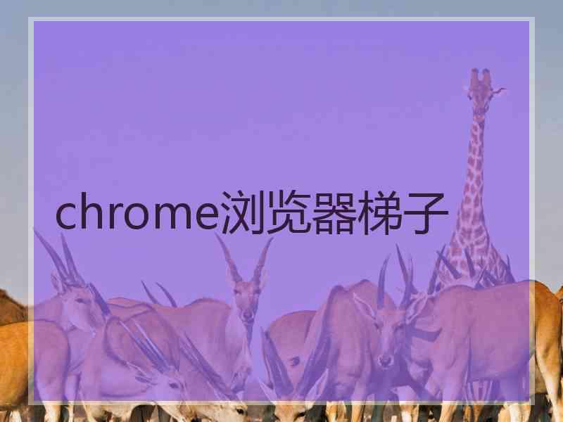 chrome浏览器梯子