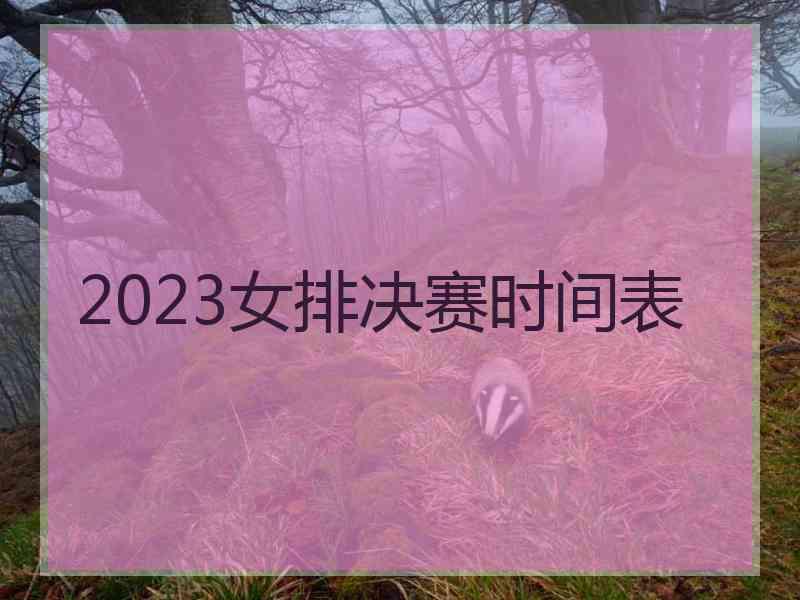 2023女排决赛时间表