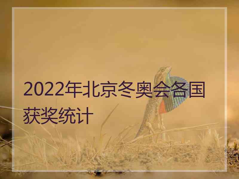 2022年北京冬奥会各国获奖统计