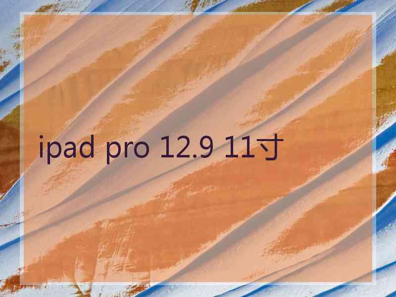 ipad pro 12.9 11寸