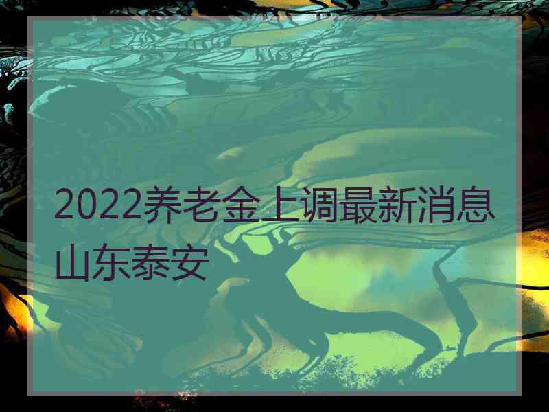 2022养老金上调最新消息山东泰安