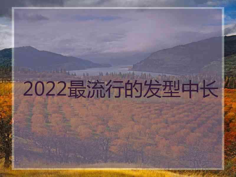 2022最流行的发型中长