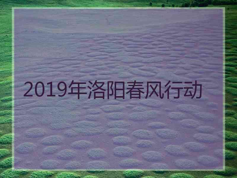 2019年洛阳春风行动