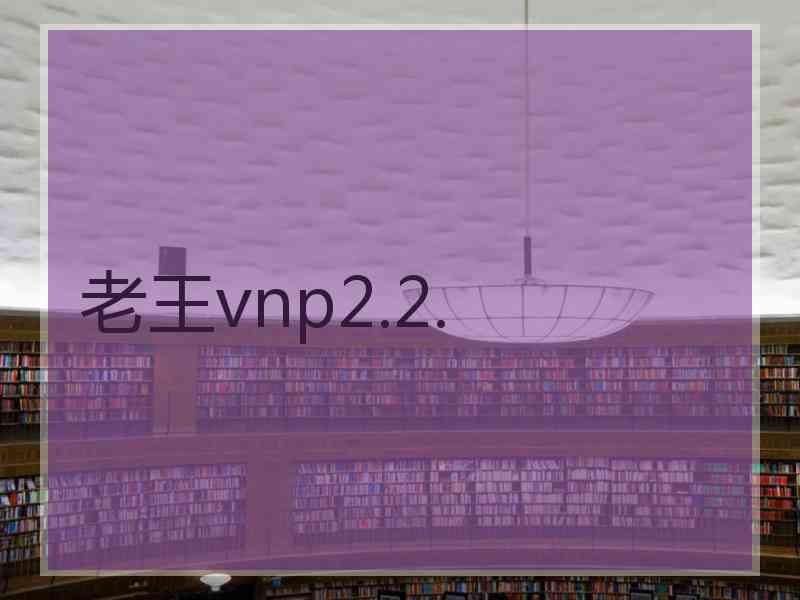 老王vnp2.2.