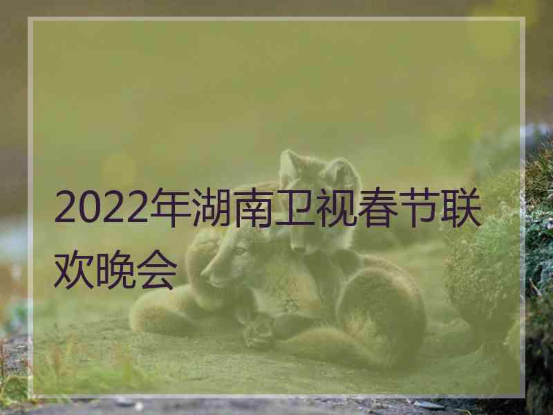 2022年湖南卫视春节联欢晚会