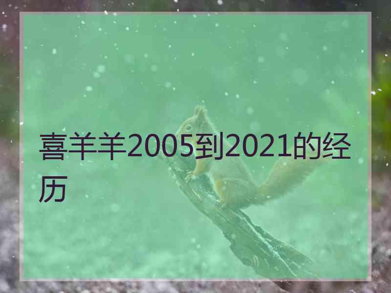 喜羊羊2005到2021的经历