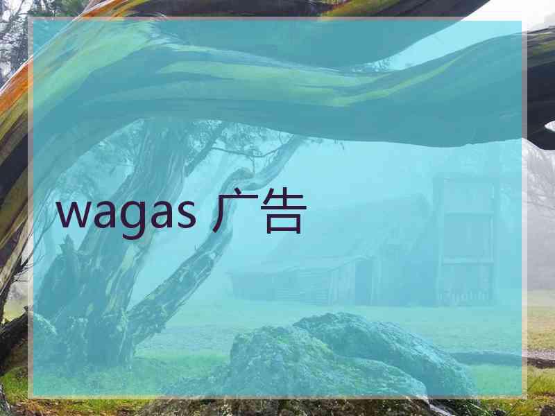 wagas 广告