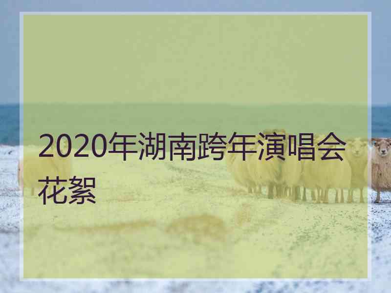 2020年湖南跨年演唱会花絮