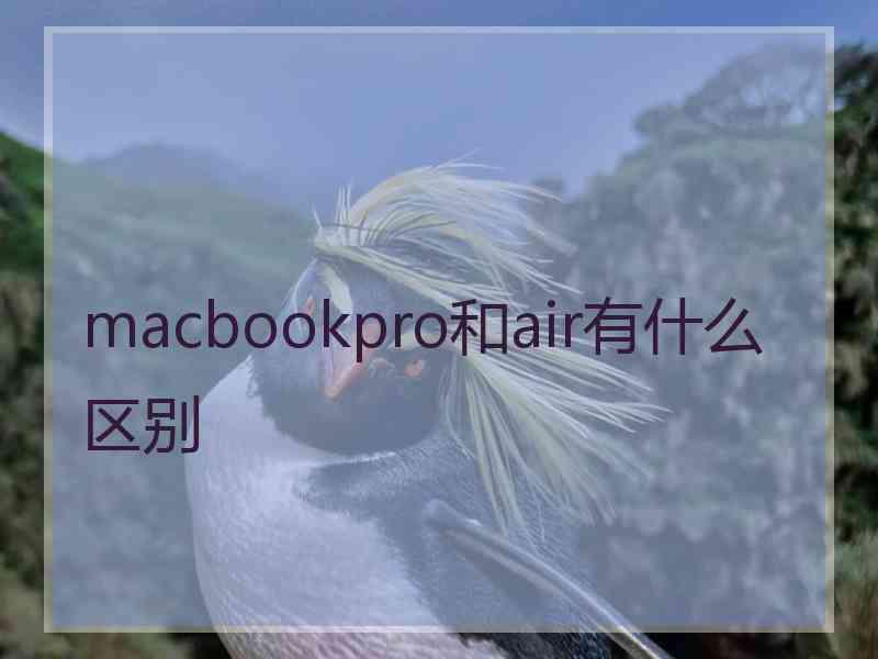 macbookpro和air有什么区别