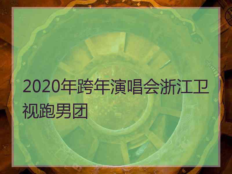 2020年跨年演唱会浙江卫视跑男团