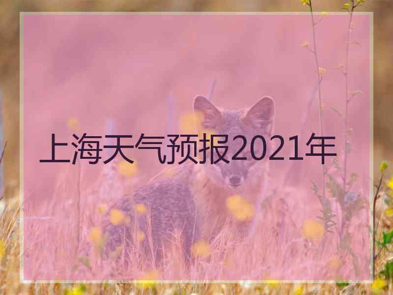 上海天气预报2021年