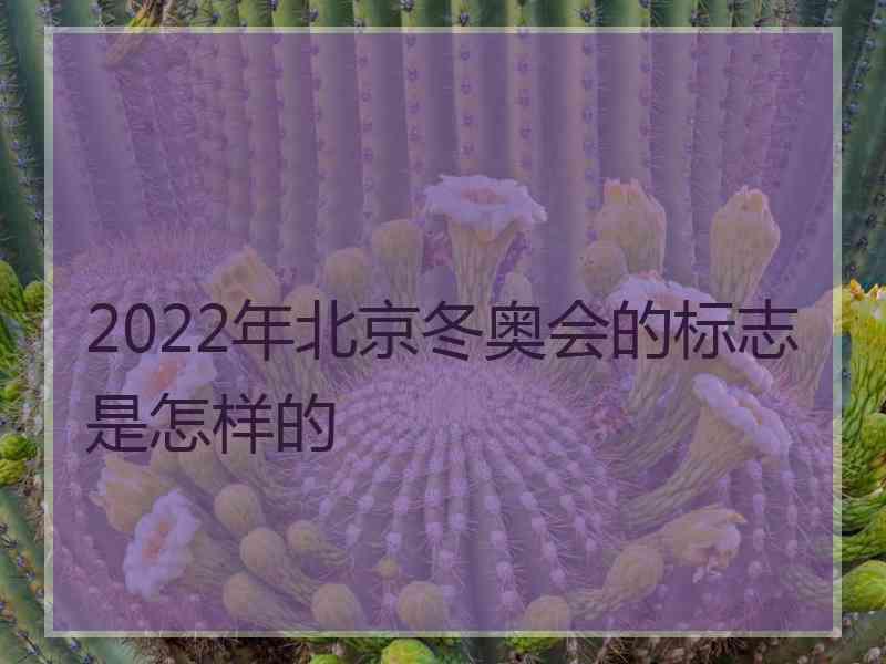 2022年北京冬奥会的标志是怎样的