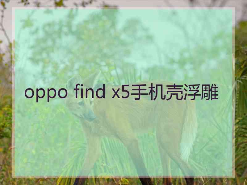 oppo find x5手机壳浮雕