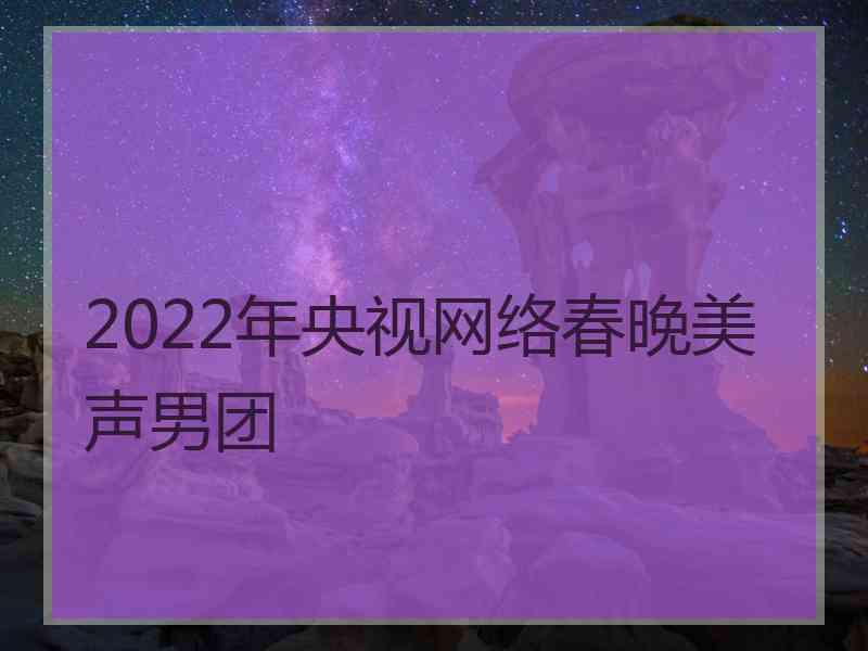 2022年央视网络春晚美声男团