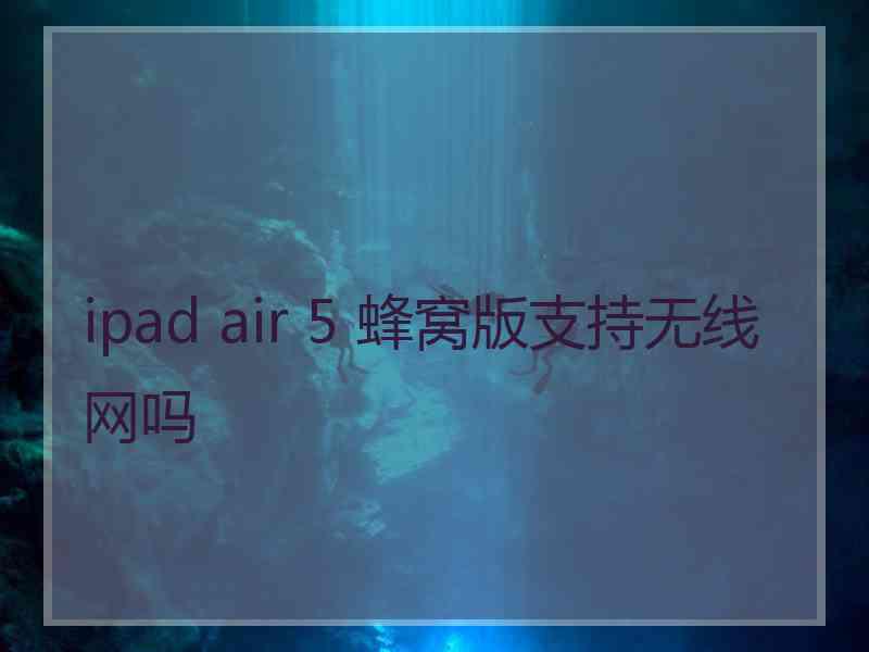 ipad air 5 蜂窝版支持无线网吗