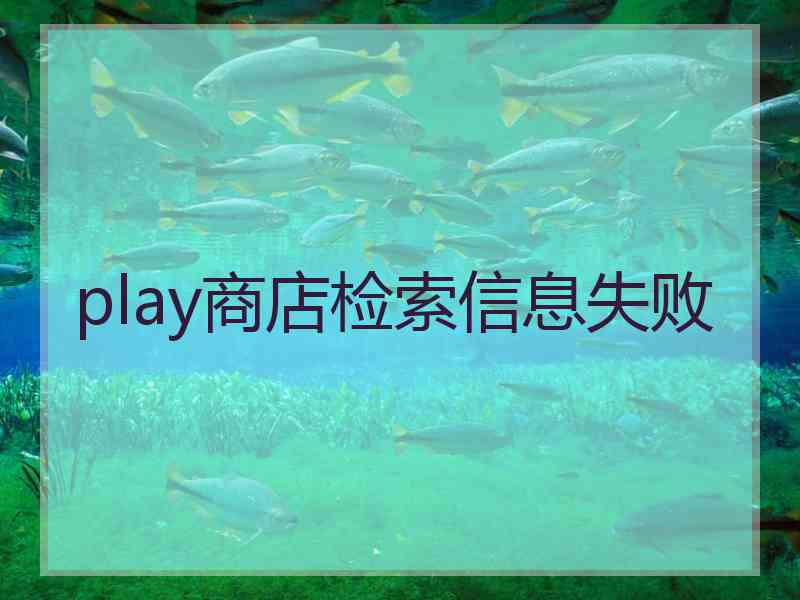 play商店检索信息失败