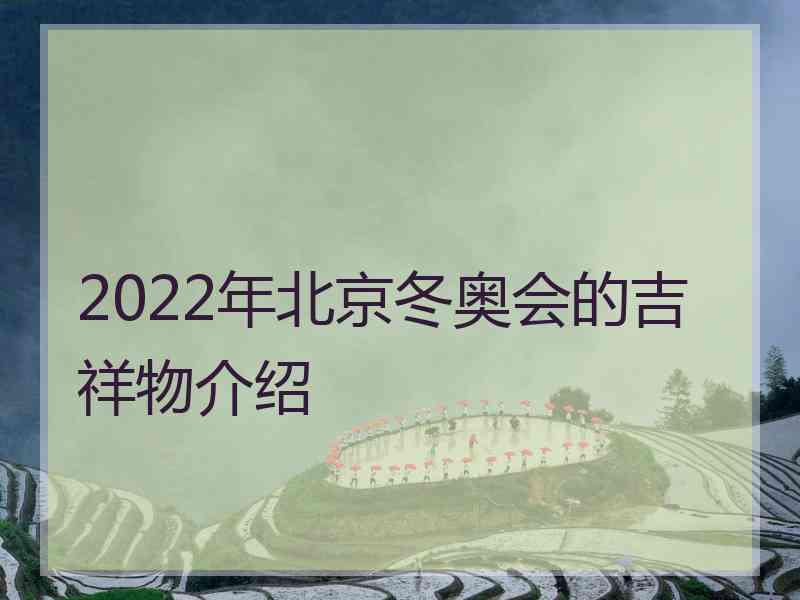 2022年北京冬奥会的吉祥物介绍