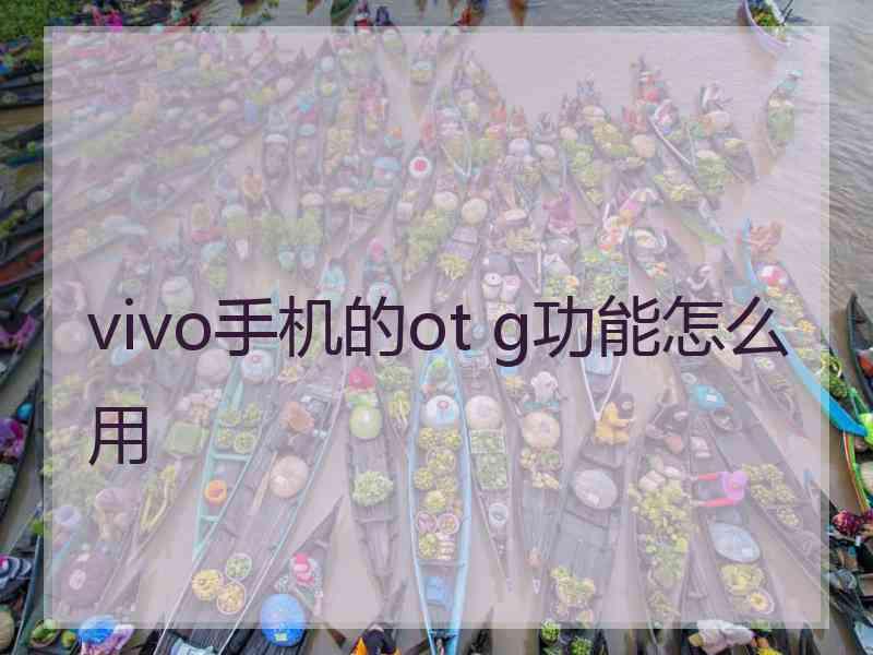 vivo手机的ot g功能怎么用