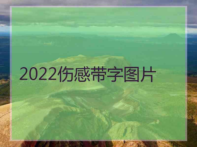 2022伤感带字图片