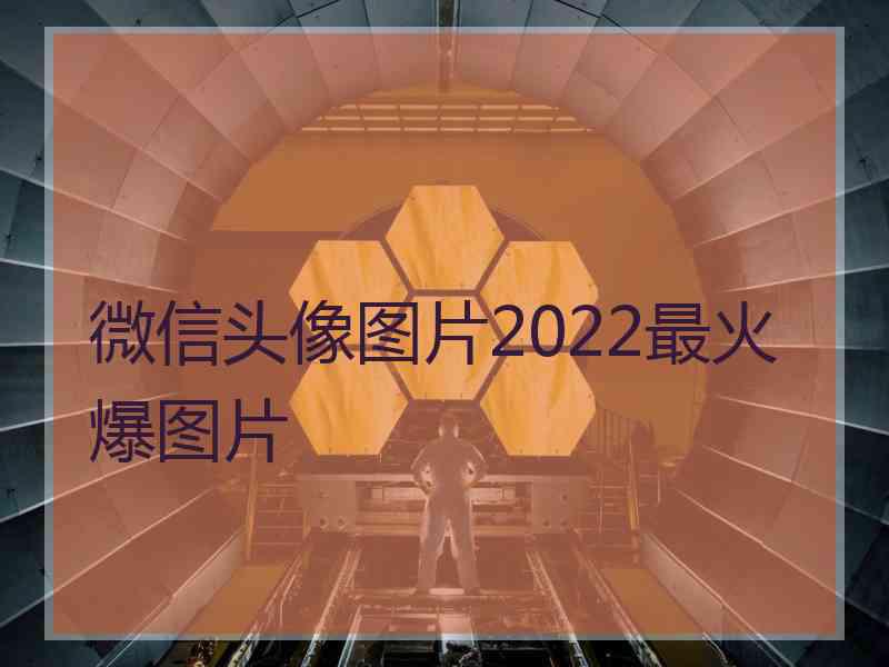 微信头像图片2022最火爆图片