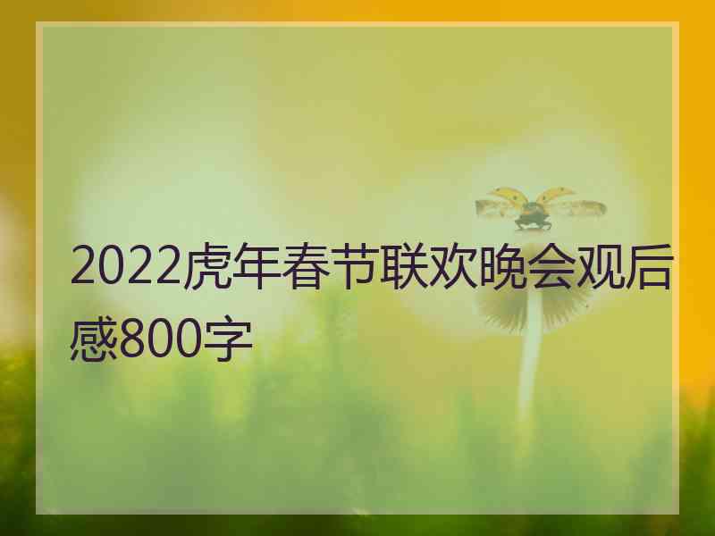 2022虎年春节联欢晚会观后感800字