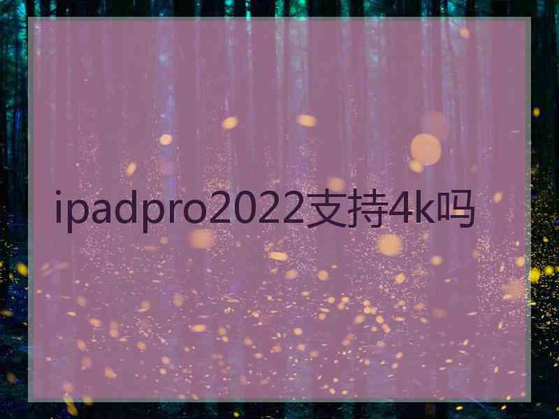 ipadpro2022支持4k吗