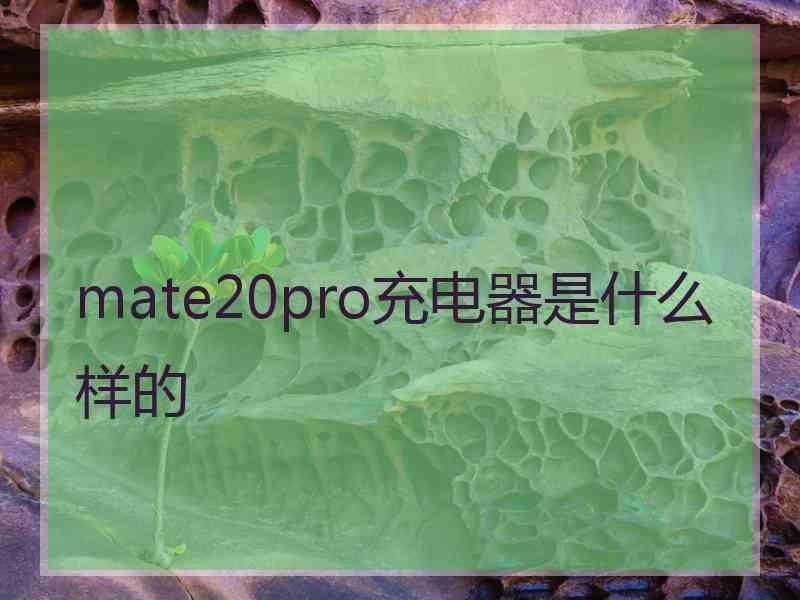 mate20pro充电器是什么样的