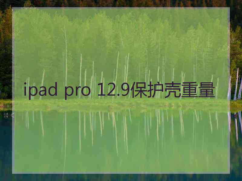 ipad pro 12.9保护壳重量