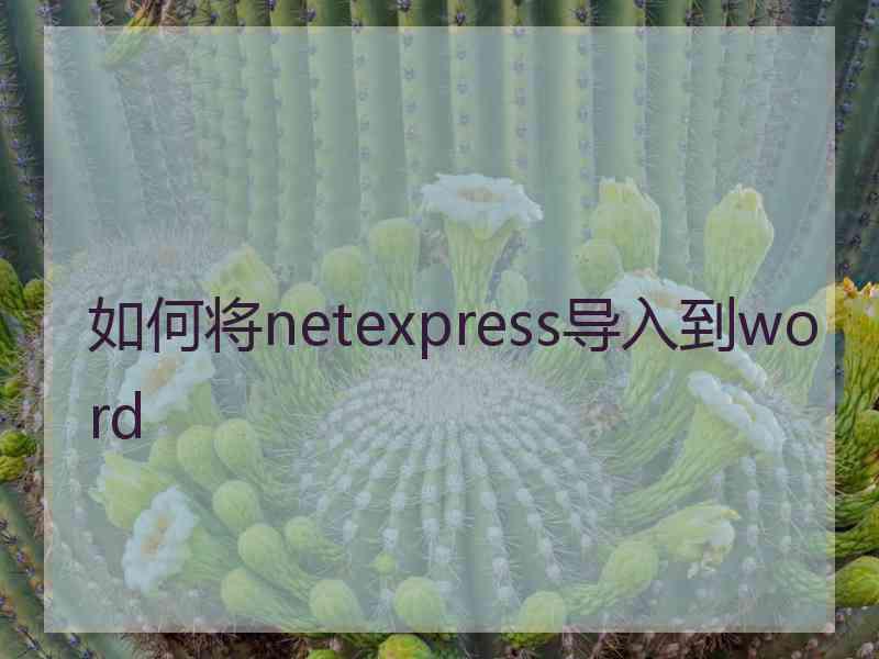 如何将netexpress导入到word