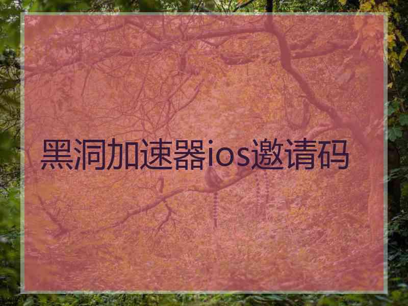 黑洞加速器ios邀请码