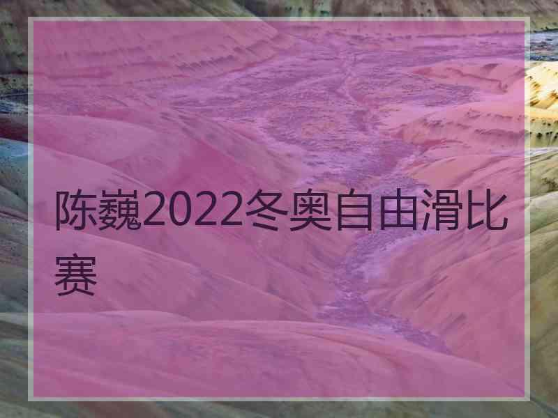 陈巍2022冬奥自由滑比赛