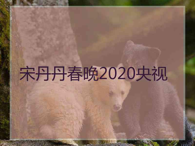 宋丹丹春晚2020央视