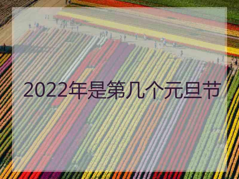 2022年是第几个元旦节