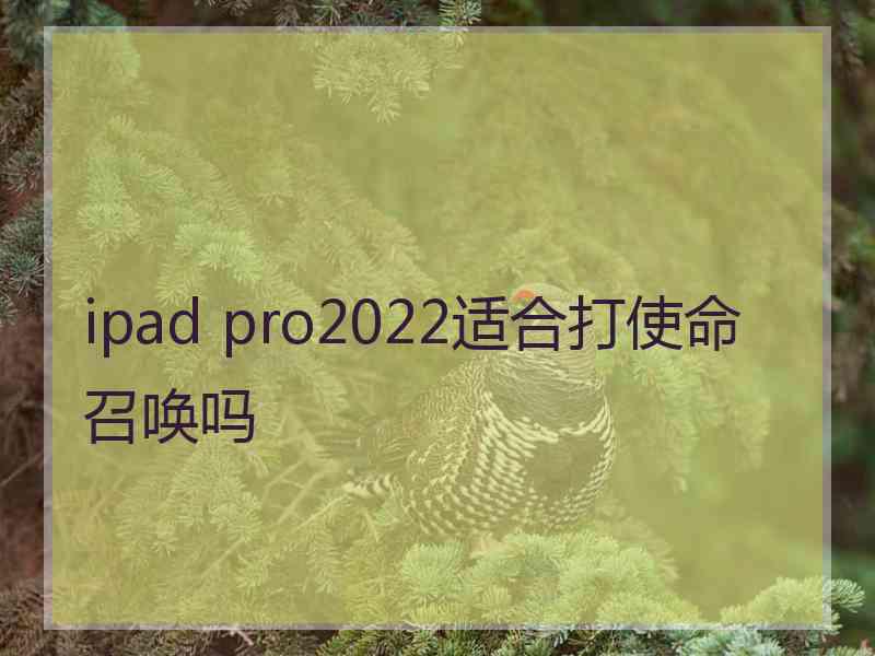 ipad pro2022适合打使命召唤吗