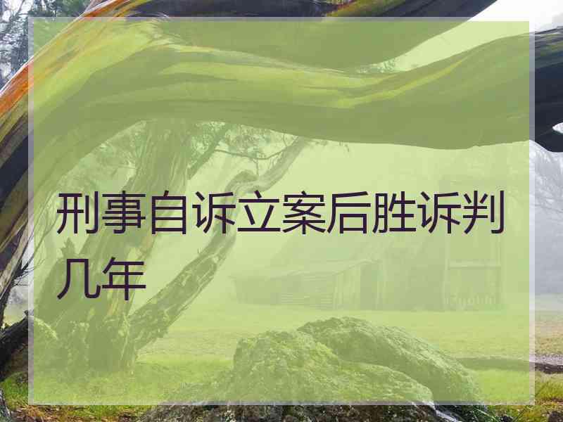 刑事自诉立案后胜诉判几年