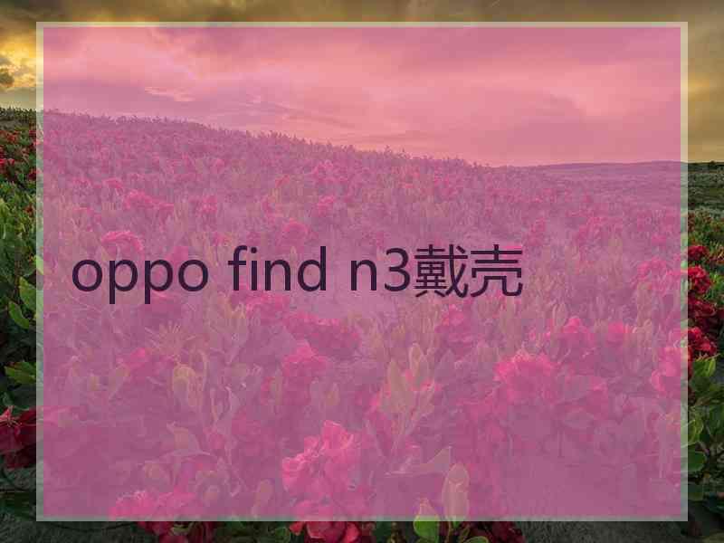 oppo find n3戴壳