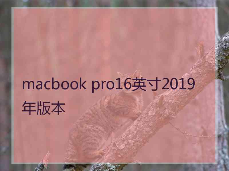 macbook pro16英寸2019年版本