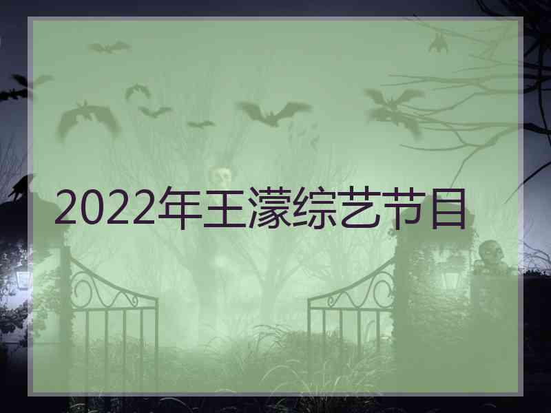 2022年王濛综艺节目