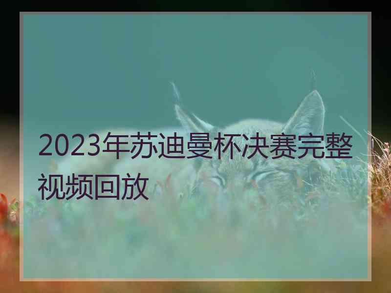 2023年苏迪曼杯决赛完整视频回放