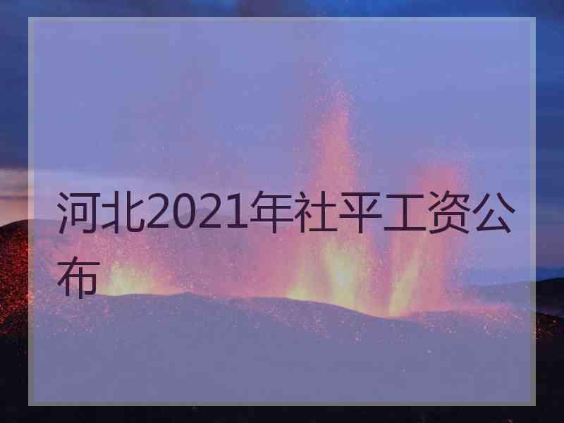 河北2021年社平工资公布