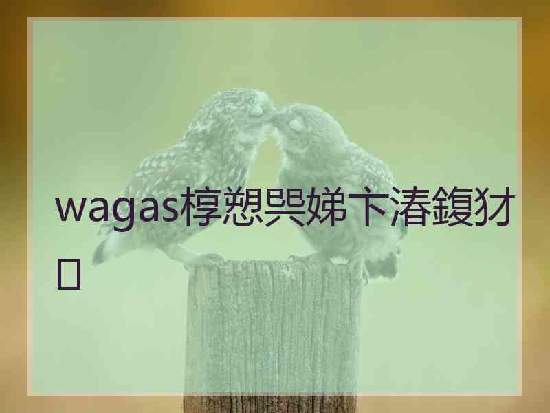 wagas椁愬巺娣卞湷鍑犲