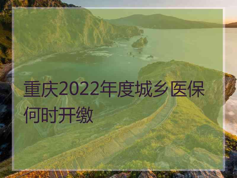 重庆2022年度城乡医保何时开缴