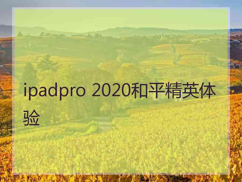 ipadpro 2020和平精英体验