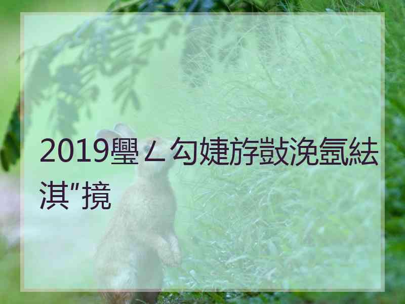 2019璺ㄥ勾婕斿敱浼氬紶淇″摬