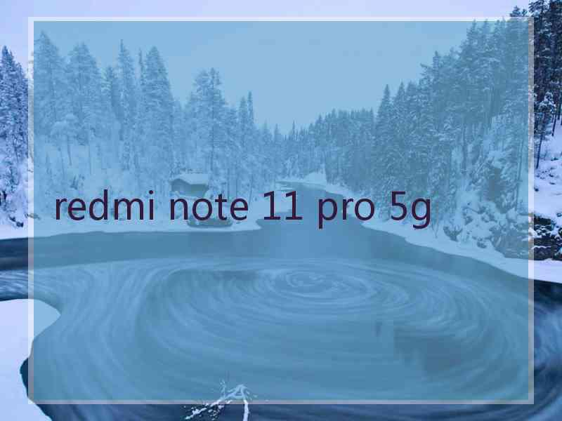 redmi note 11 pro 5g